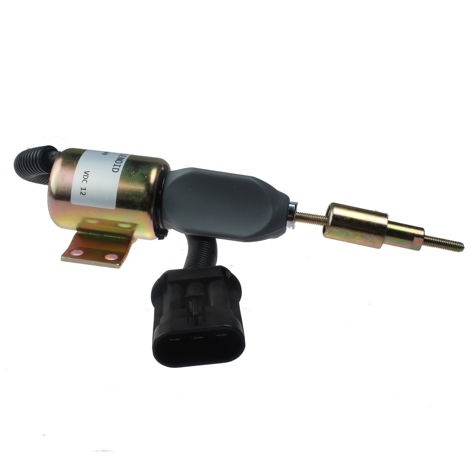 ぶんぶん 71EvO4WYAbL.jpg_BO30,255,255,